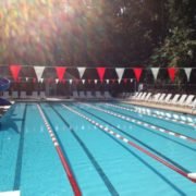 pool management atlanta